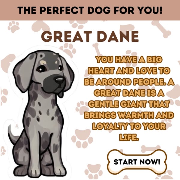 Which Dog Breed Is Right For You?